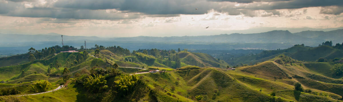 La région du café en Colombie