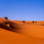 Merzouga et Zagora, aux portes du désert marocain