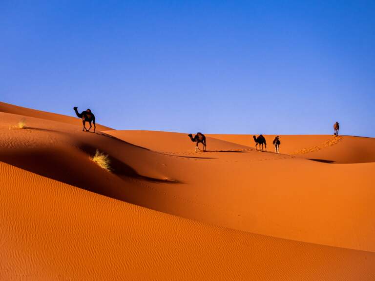 Merzouga et Zagora, aux portes du désert marocain
