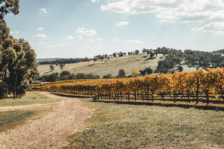Les meilleures régions pour travailler dans le vin en Australie